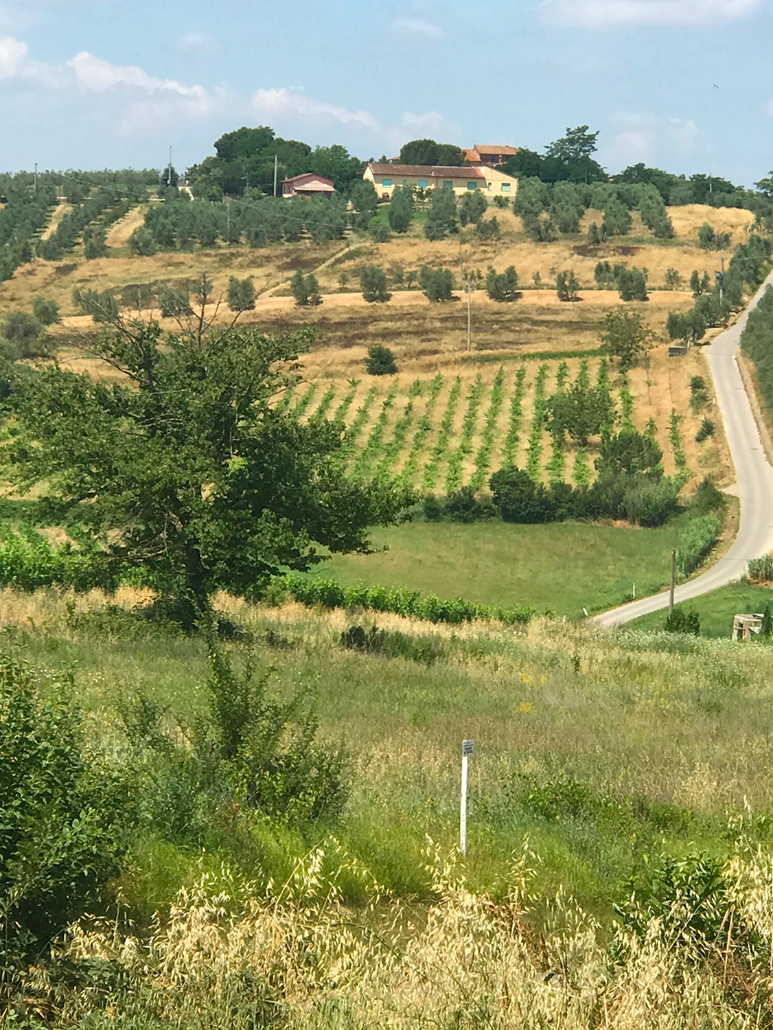 A family-run Tuscan tannery