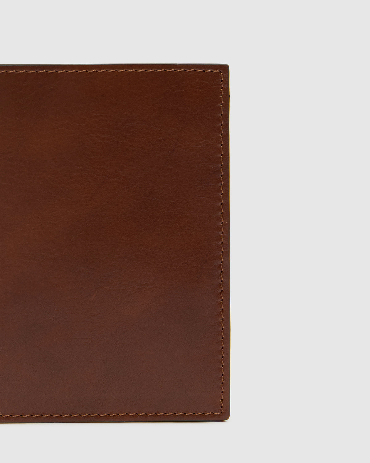 Passport Earth - Leather Passport Cover