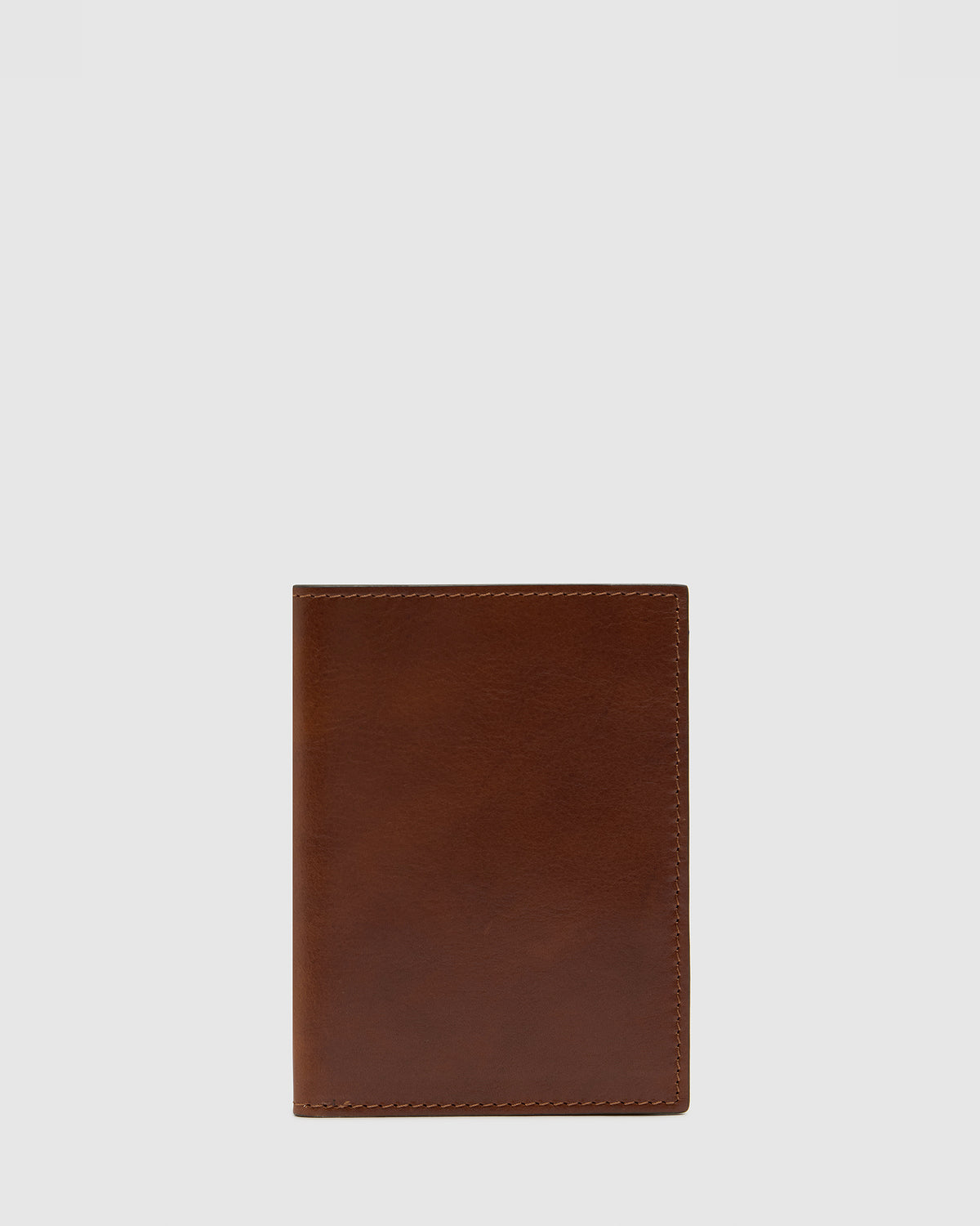 Passport Earth - Leather Passport Cover