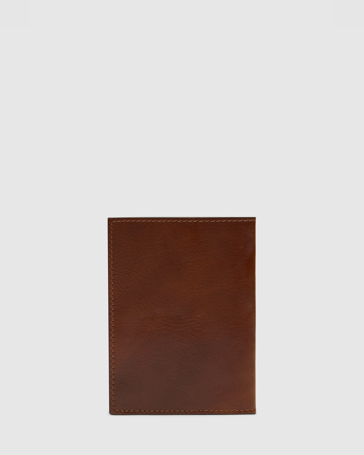 Passport Earth - Leather Passport Cover