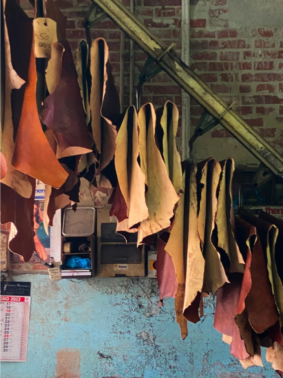 Hides drying after vegetable tanning